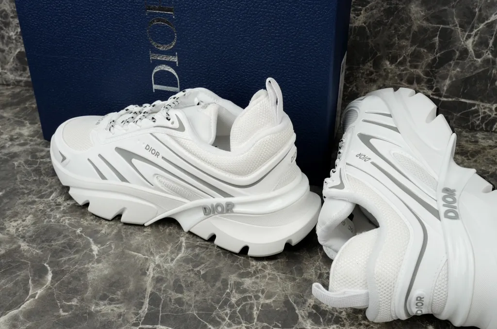 Dior Shoe 